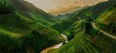 Vietnam